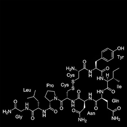 KING 810 K8: RUSTBELT NU METAL 3 CD