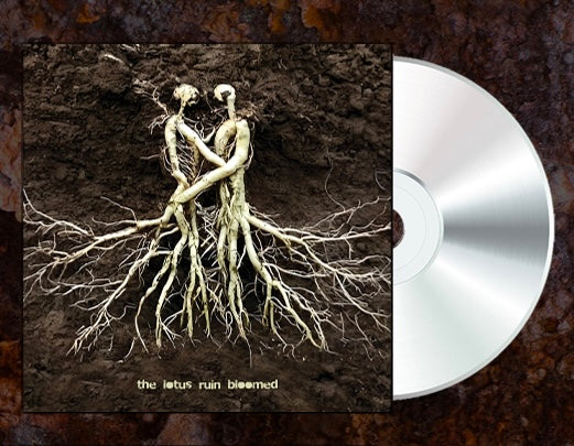 KING 810 K7: RUSTBELT NU METAL 2 CD